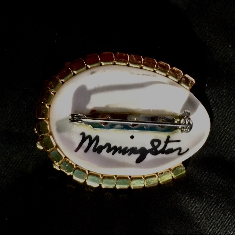 Elegant Vintage Morningstar Crystal Brooch - Picture 10 of 10